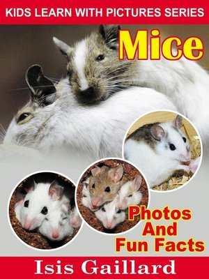 cover image of Mice Photos and Fun Facts for Kids